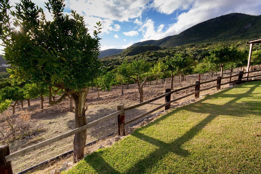 Finca El Huertezuelo El Bosque Exterior foto